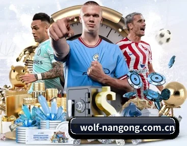 wolf-nangong.com.cn的故事