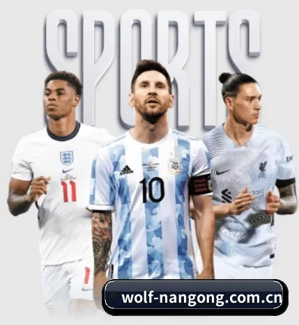 wolf-nangong.com.cn的方向